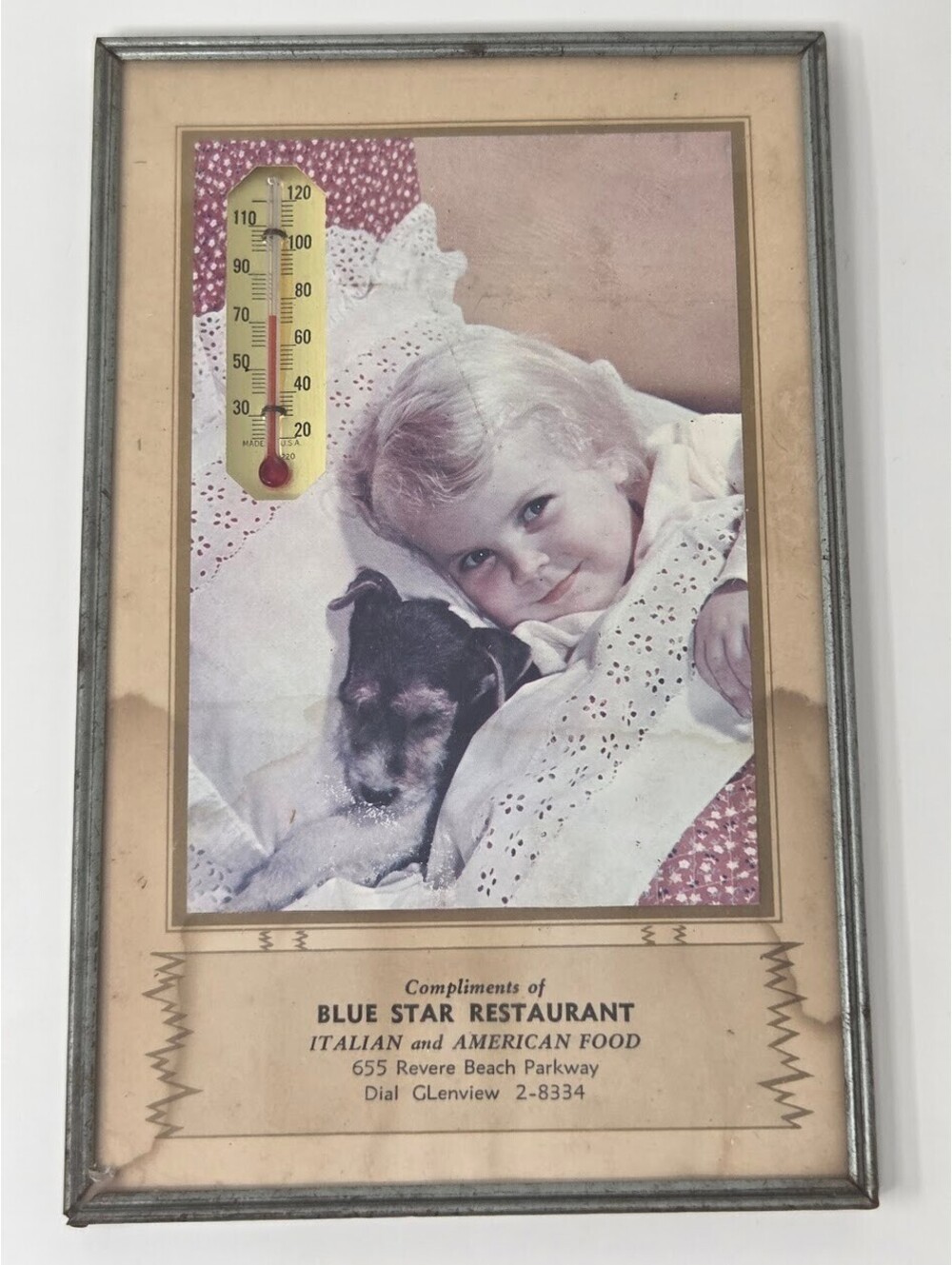 Vintage Blue Star Restaurant Advertising Thermometer Framed Picture Child Dog